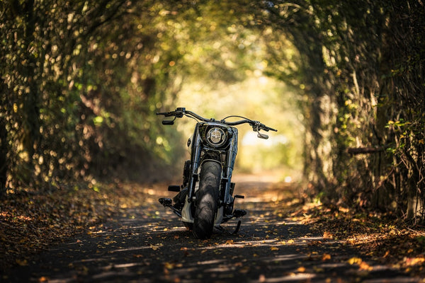Harley Davidson "Project Ghost"