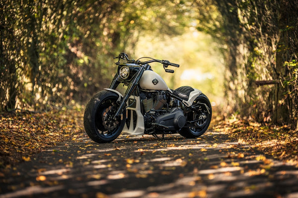 Harley Davidson "Project Ghost"