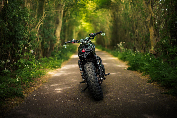 Triumph - T120 Dark Night Gloss Black