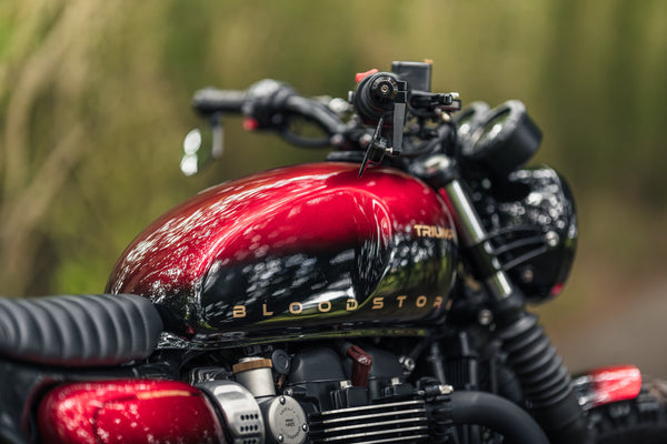 Triumph - Bloodstorm