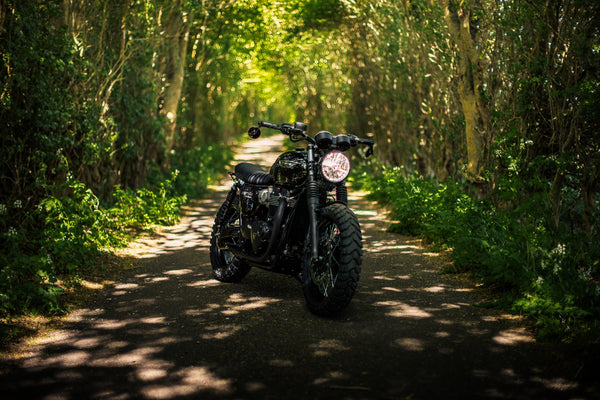 Triumph - T120 Dark Night Gloss Black