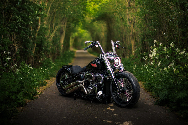 Hillbilly Edition - Harley-Davidson Fat Boy