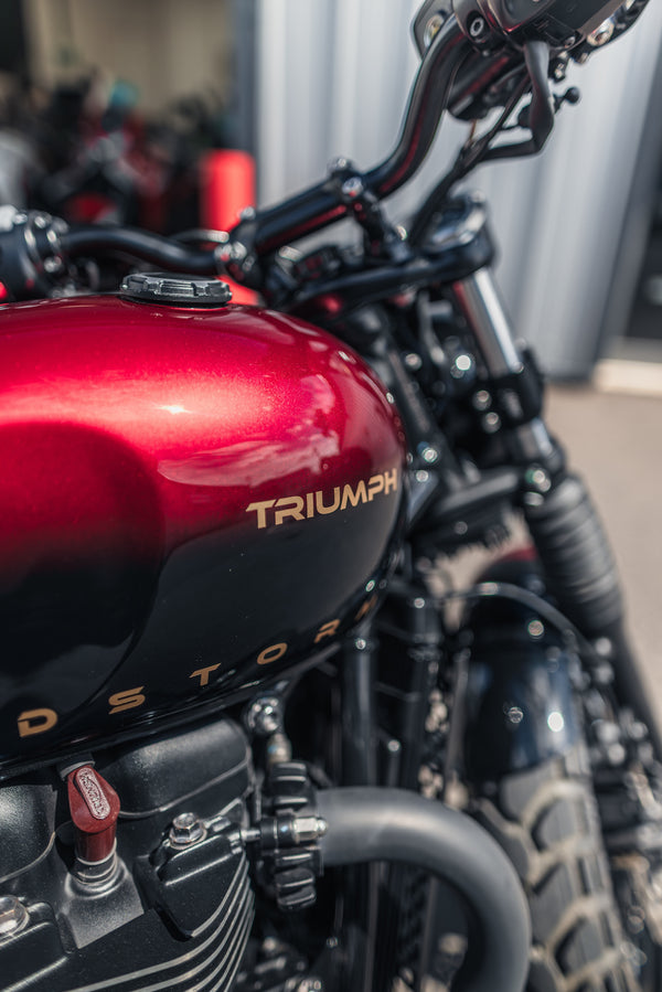 Triumph - Bloodstorm