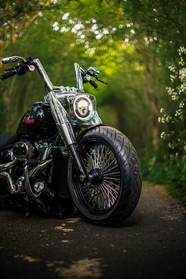 Hillbilly Edition - Harley-Davidson Fat Boy