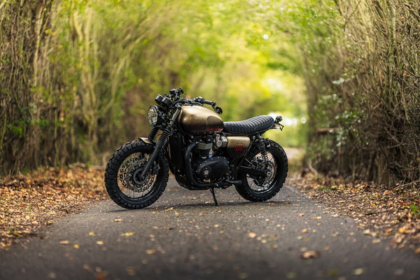 "Uncommon Sense" Triumph T120 Custom
