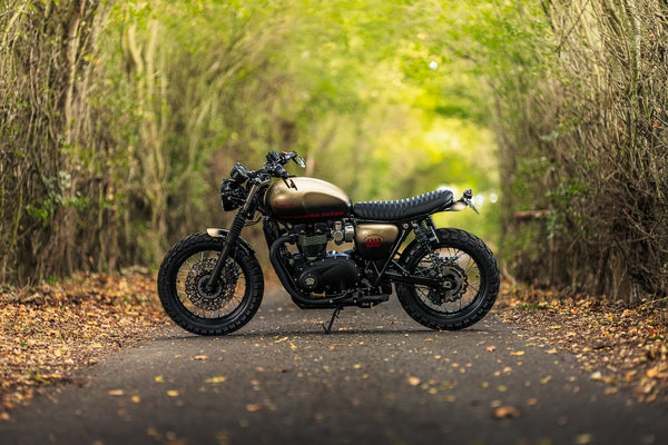 "Uncommon Sense" Triumph T120 Custom