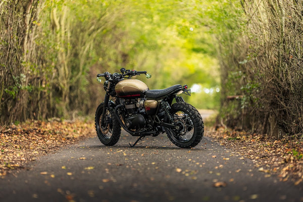 "Uncommon Sense" Triumph T120 Custom