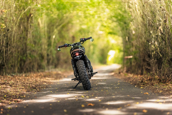 Gentlemanly Green T120 Dark Night