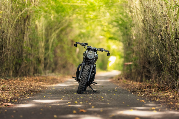Gentlemanly Green T120 Dark Night