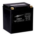 MCS, 12V SEALED AGM BATTERY. 32AH. 450CCA