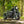 Triumph Bobber - WIDE WHEEL - MATT BLACK