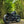 Triumph Bobber - WIDE WHEEL - MATT BLACK