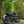 Triumph Bobber - WIDE WHEEL - MATT BLACK