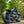 Triumph Bobber - WIDE WHEEL - MATT BLACK