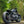 Triumph Bobber - WIDE WHEEL - MATT BLACK