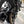 Poulson - Triumph Bobber / T120 Chain Guard