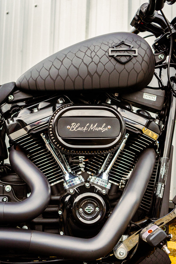 Black Mamba - Harley-Davidson Breakout
