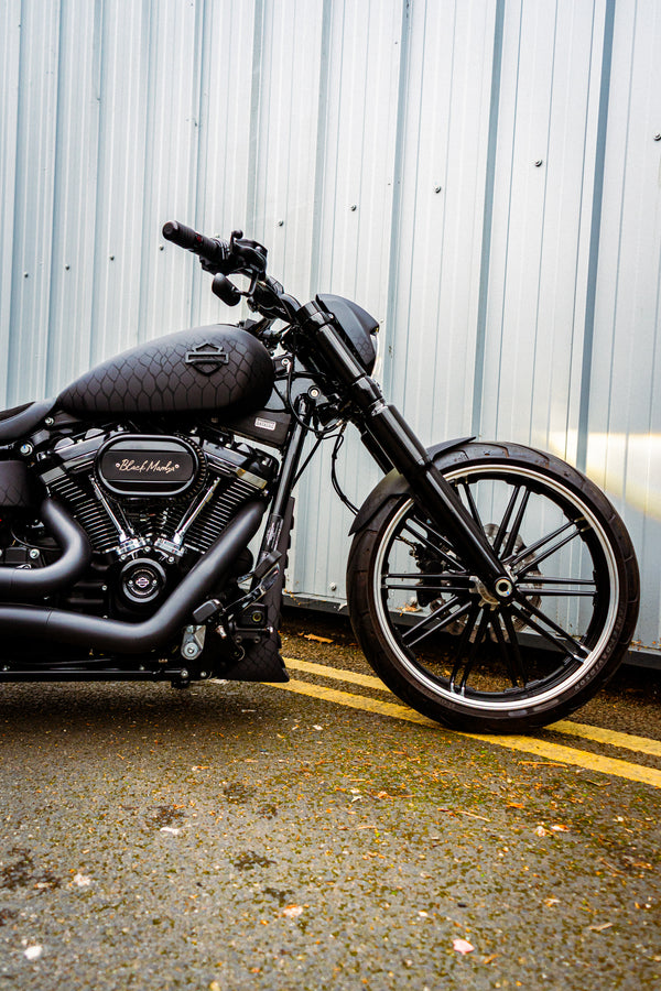 Black Mamba - Harley-Davidson Breakout