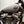 Black Mamba - Harley-Davidson Breakout