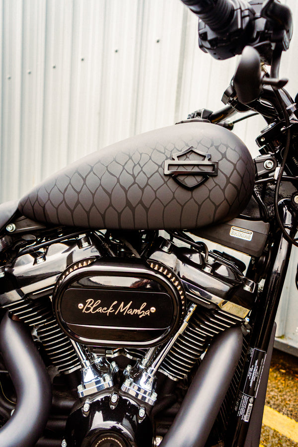 Black Mamba - Harley-Davidson Breakout