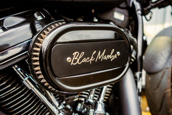 Black Mamba - Harley-Davidson Breakout