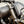 Black Mamba - Harley-Davidson Breakout