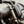 Black Mamba - Harley-Davidson Breakout