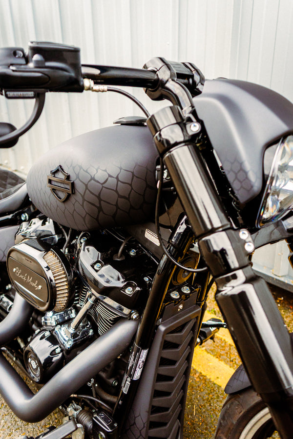 Black Mamba - Harley-Davidson Breakout