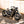 Poulson - Wide Wheel Kit Triumph Bobber