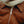 the-1958-jacket