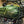 'The Knight Bobber' Full wide wheel custom