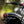 Triumph - T120 Dark Night MATT Black