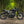 Triumph - T120 Dark Night MATT Black