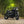 Triumph - T120 Dark Night MATT Black