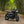 Triumph - T120 Dark Night MATT Black