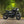 Triumph - T120 Dark Night MATT Black