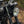 Triumph - T120 Dark Night MATT Black
