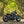 'The Knight Bobber' Full wide wheel custom