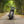 'The British Bobber' Full wide wheel custom
