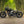 'The British Bobber' Full wide wheel custom