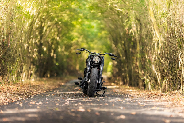 Harley Davidson Fat Boy 114 Pro Build Custom "The Haymaker"