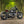 'The British Bobber' Full wide wheel custom