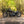 Harley Davidson Fat Boy 114 Pro Build Custom 
