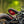 'The British Bobber' Full wide wheel custom