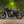 Triumph - T120 Dark Night MATT Black