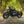 'The Knight Bobber' Full wide wheel custom