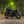 Triumph - T120 Dark Night MATT Black