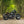 'The British Bobber' Full wide wheel custom