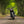 Triumph - T120 Dark Night MATT Black