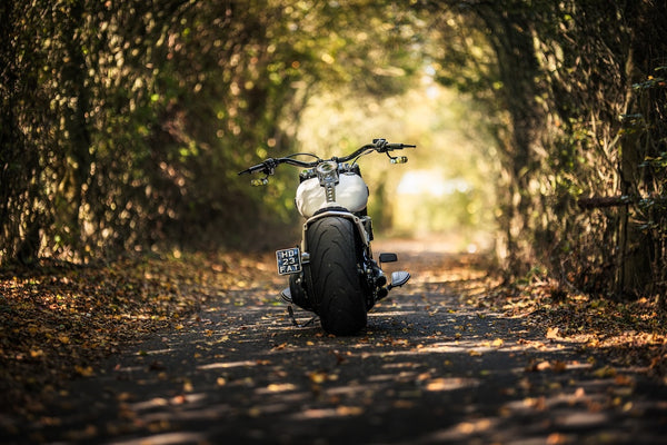 Harley Davidson "Project Ghost"